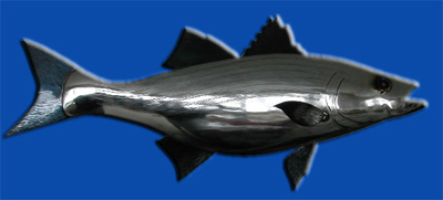 The striped bass (Morone saxatilis), also called Atlantic striped bass, striper, linesider, rock, pimpfish, or rockfish) is the State fish of Maryland, Rhode Island, South Carolina, and the state saltwater (marine) fish of New York, New Jersey, Virginia, and New Hampshire.